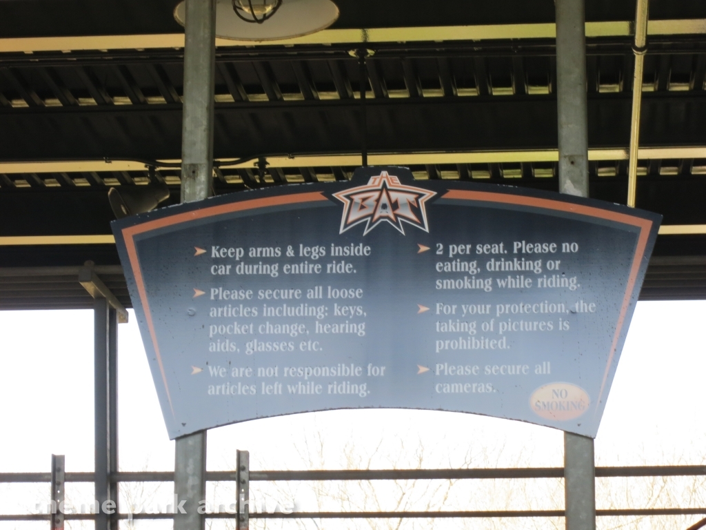 Bat at Kings Island