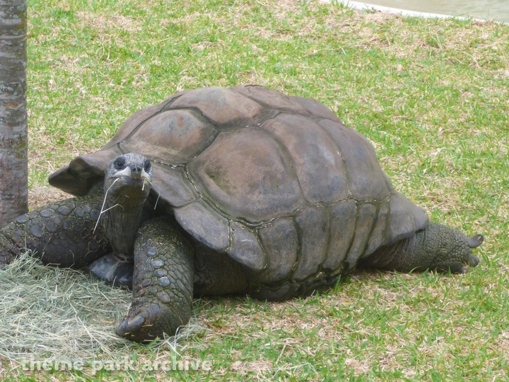 Aquatica at SeaWorld San Antonio