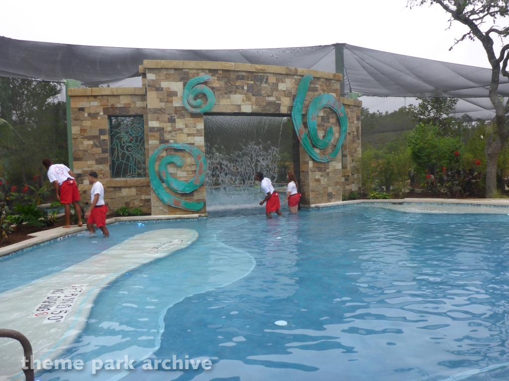 Roa's Aviary at SeaWorld San Antonio