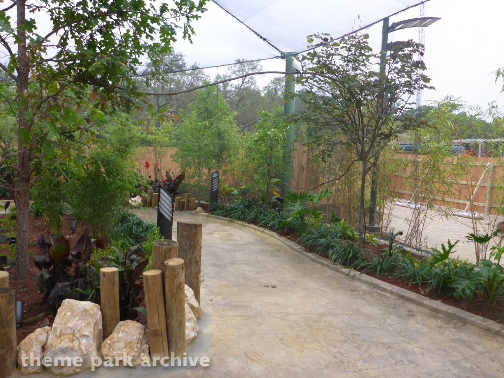 Roa's Aviary at SeaWorld San Antonio