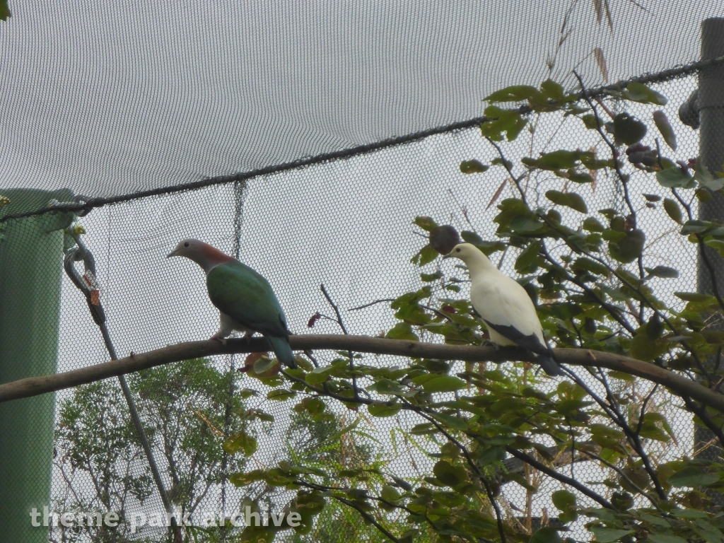 Roa's Aviary at SeaWorld San Antonio