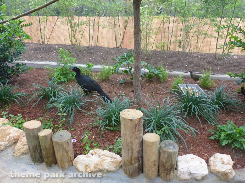 Roa's Aviary at SeaWorld San Antonio