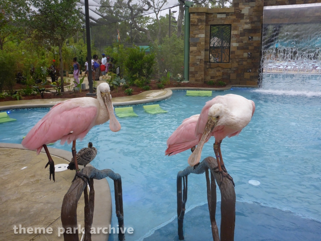 Roa's Aviary at SeaWorld San Antonio