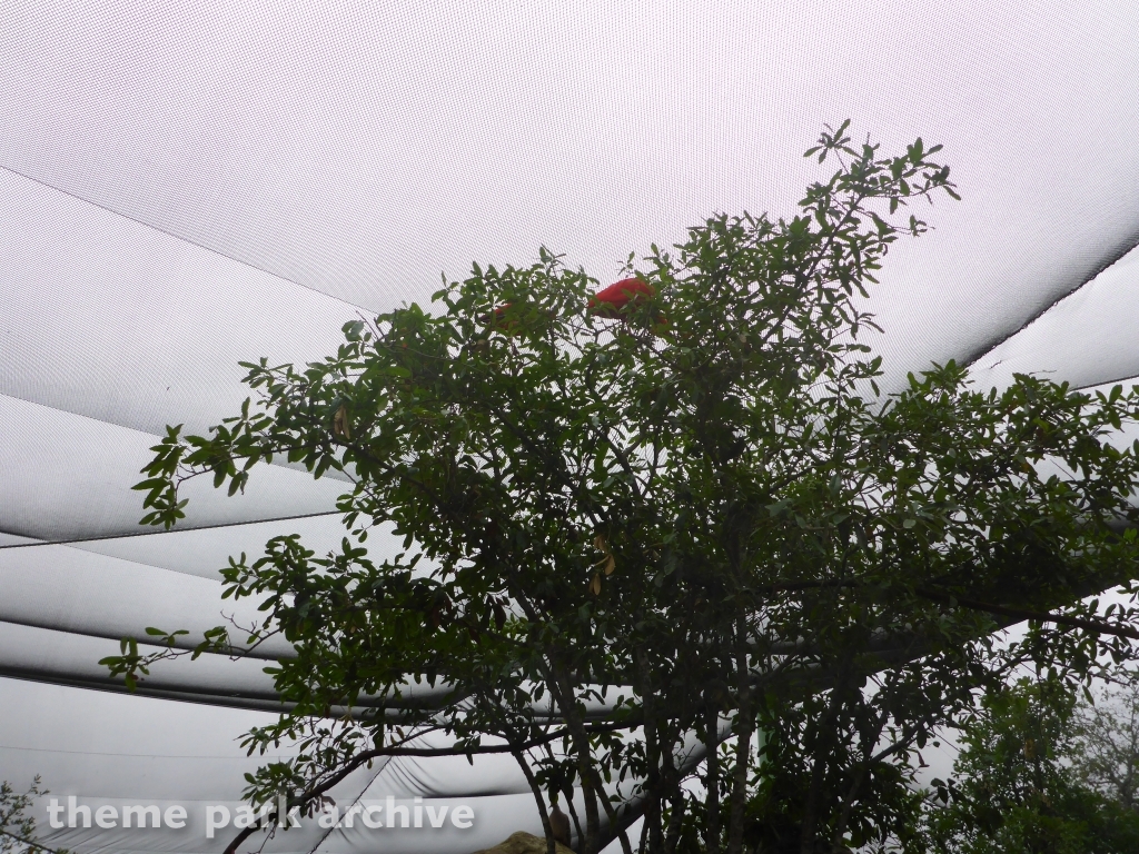 Roa's Aviary at SeaWorld San Antonio