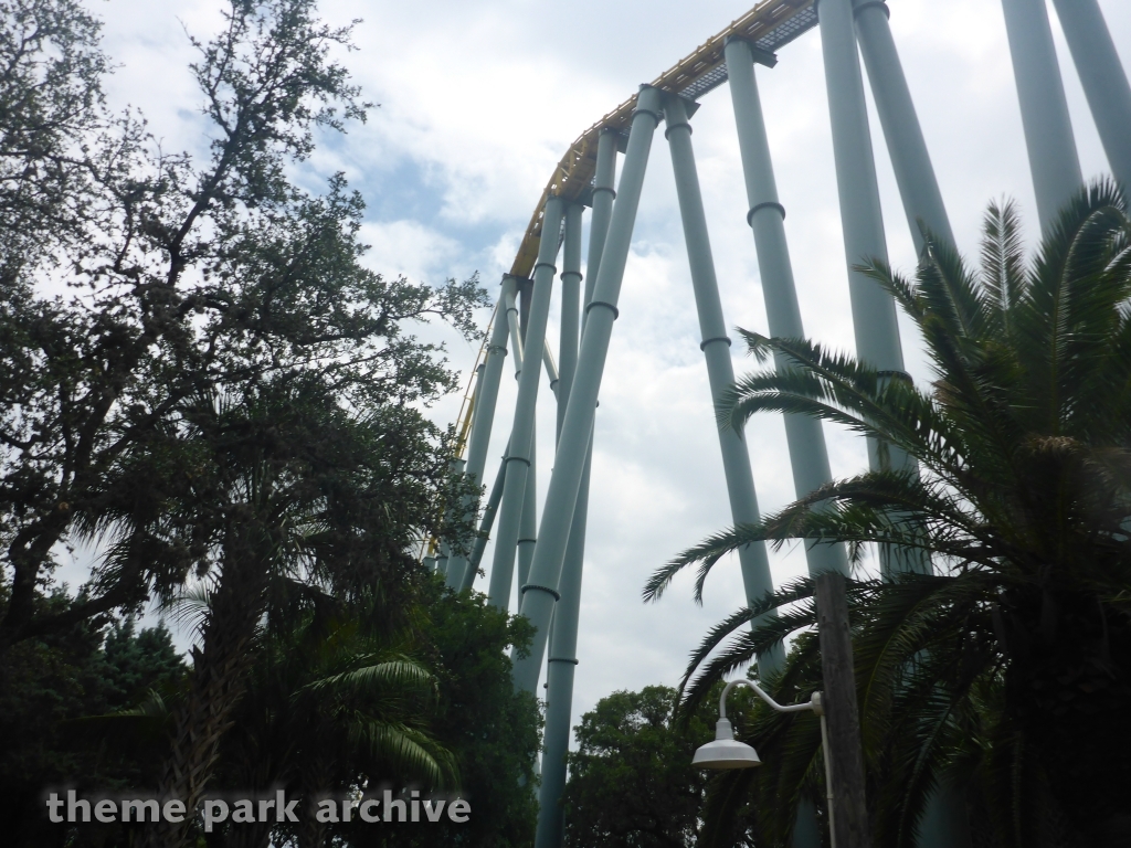 Steel Eel at SeaWorld San Antonio