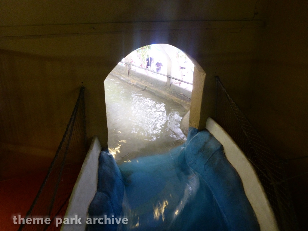 Hillside Tube Chute at Schlitterbahn New Braunfels