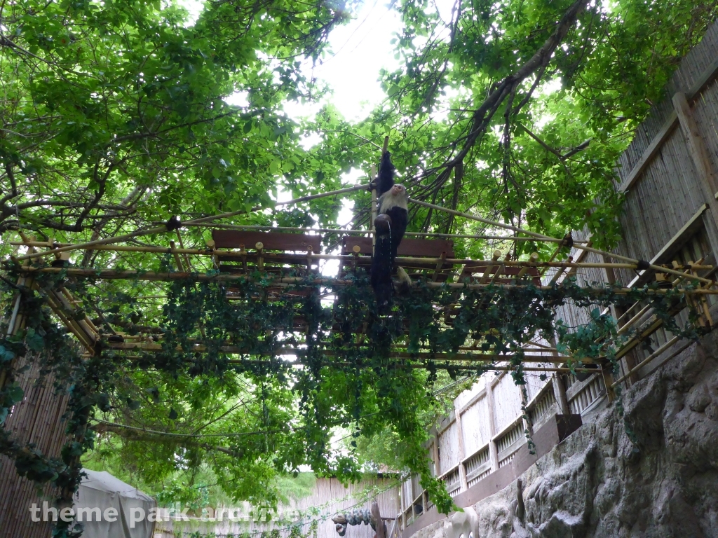 Congo River Expedition at Schlitterbahn New Braunfels