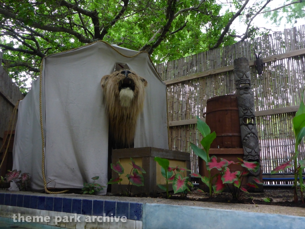 Congo River Expedition at Schlitterbahn New Braunfels
