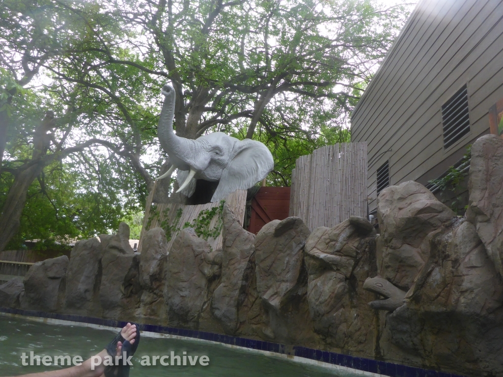 Congo River Expedition at Schlitterbahn New Braunfels