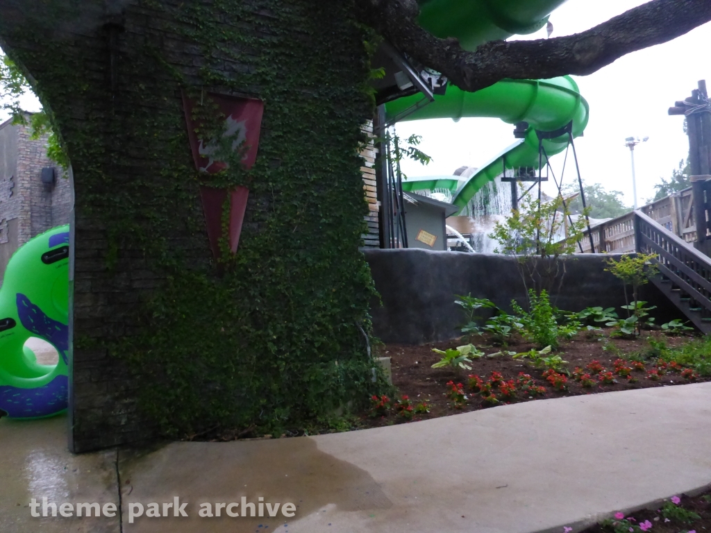 Dragon's Revenge at Schlitterbahn New Braunfels