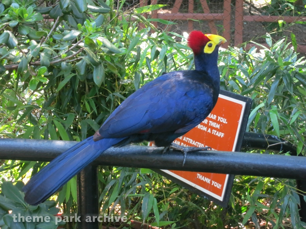 Jack Hanna's Wild Reserve at Busch Gardens Williamsburg