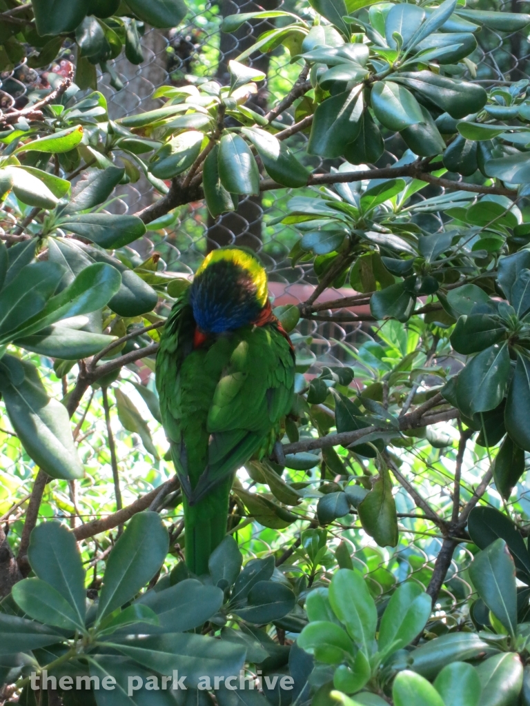 Jack Hanna's Wild Reserve at Busch Gardens Williamsburg