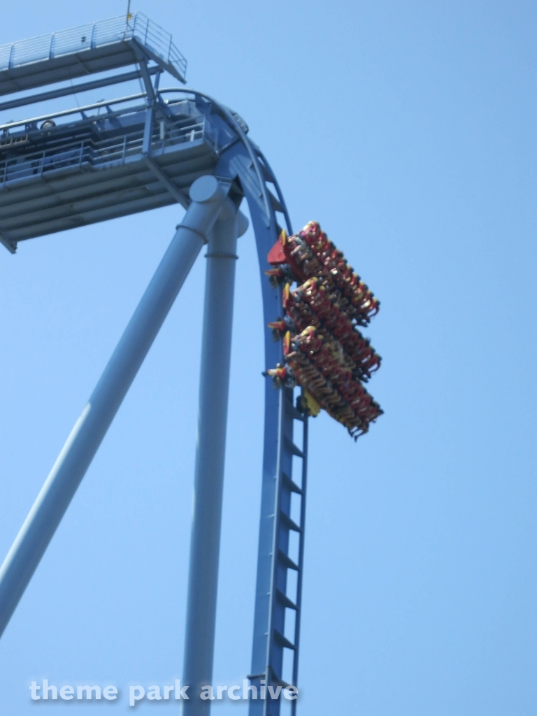Griffon at Busch Gardens Williamsburg
