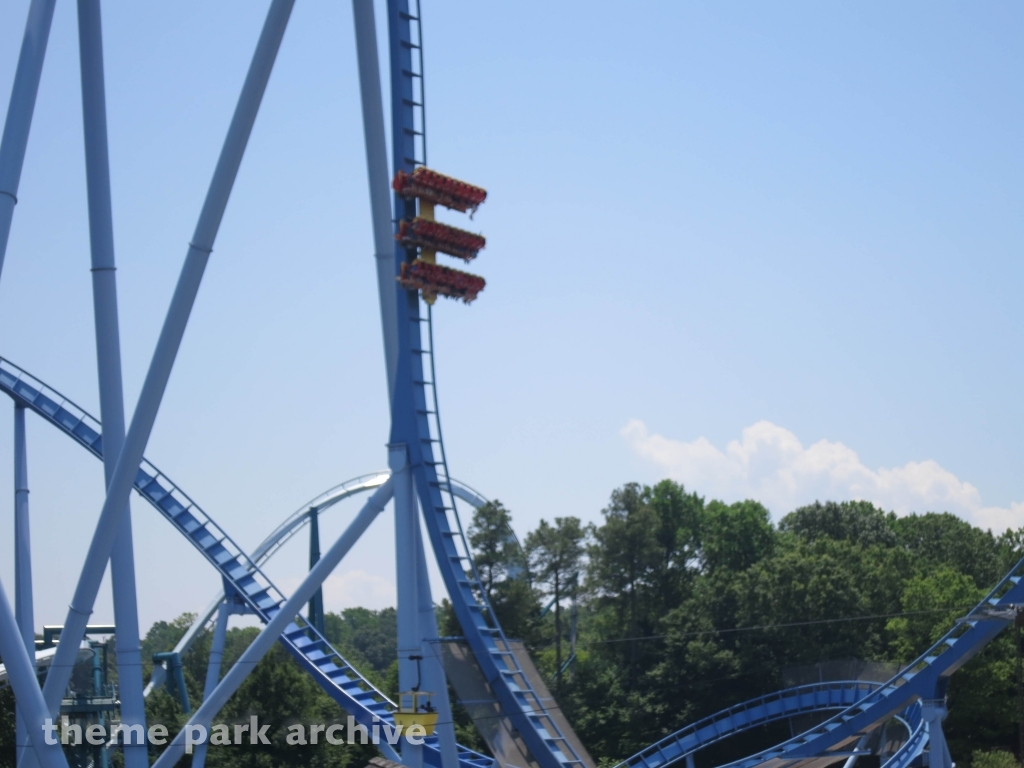 Griffon at Busch Gardens Williamsburg