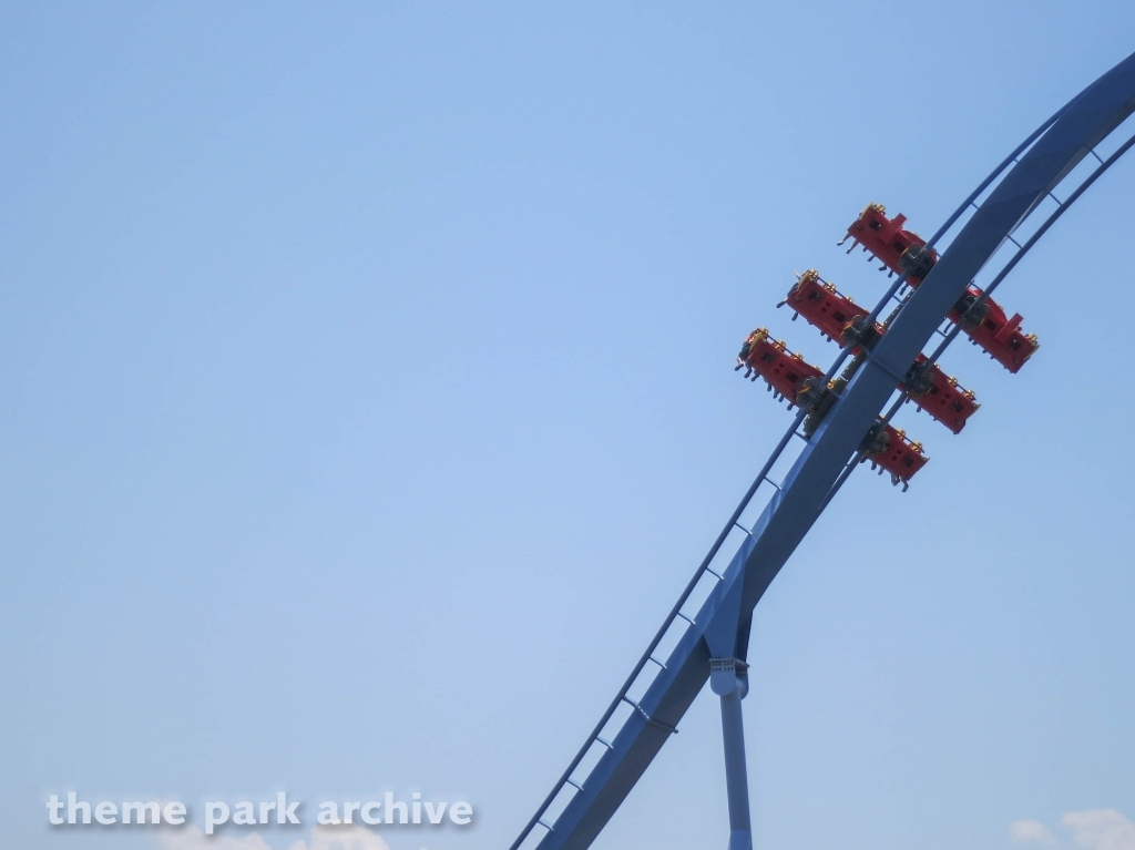 Griffon at Busch Gardens Williamsburg