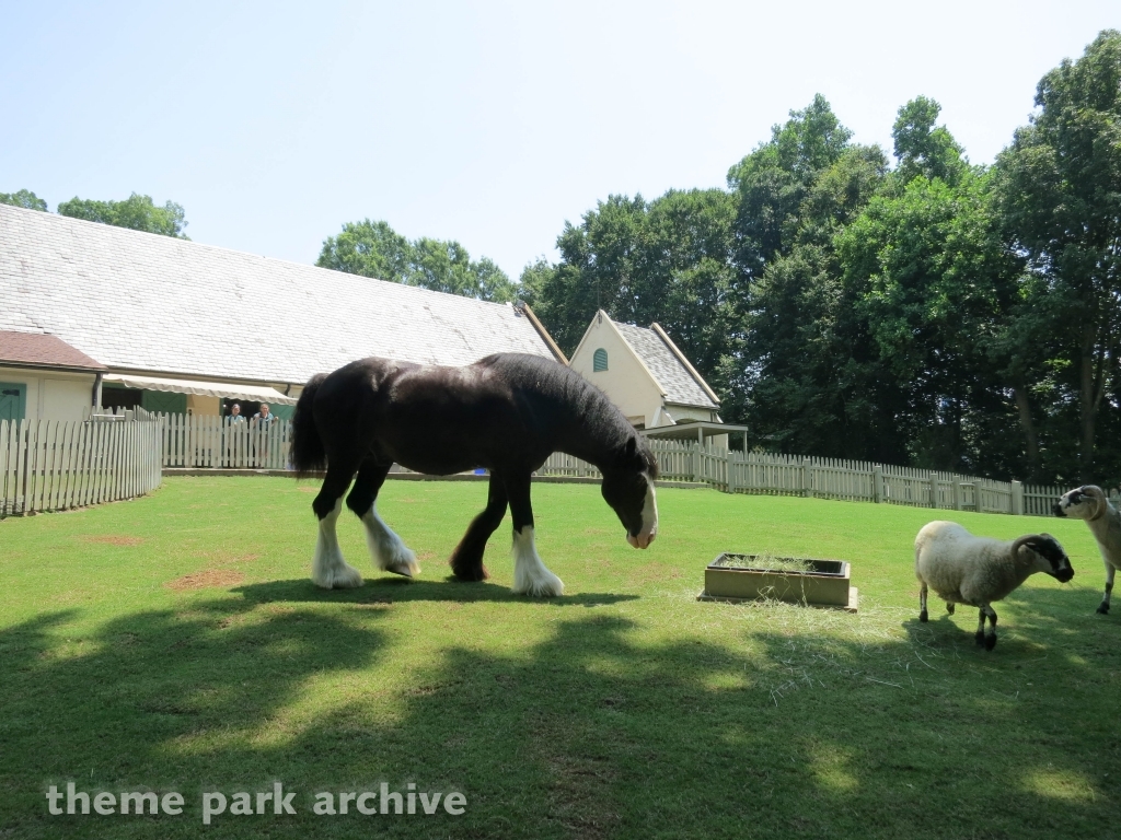 Scotland at Busch Gardens Williamsburg