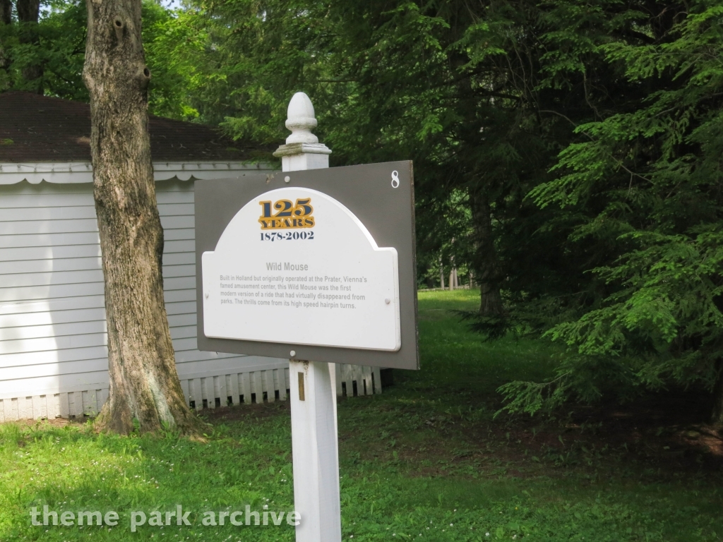 Wild Mouse at Idlewild and SoakZone