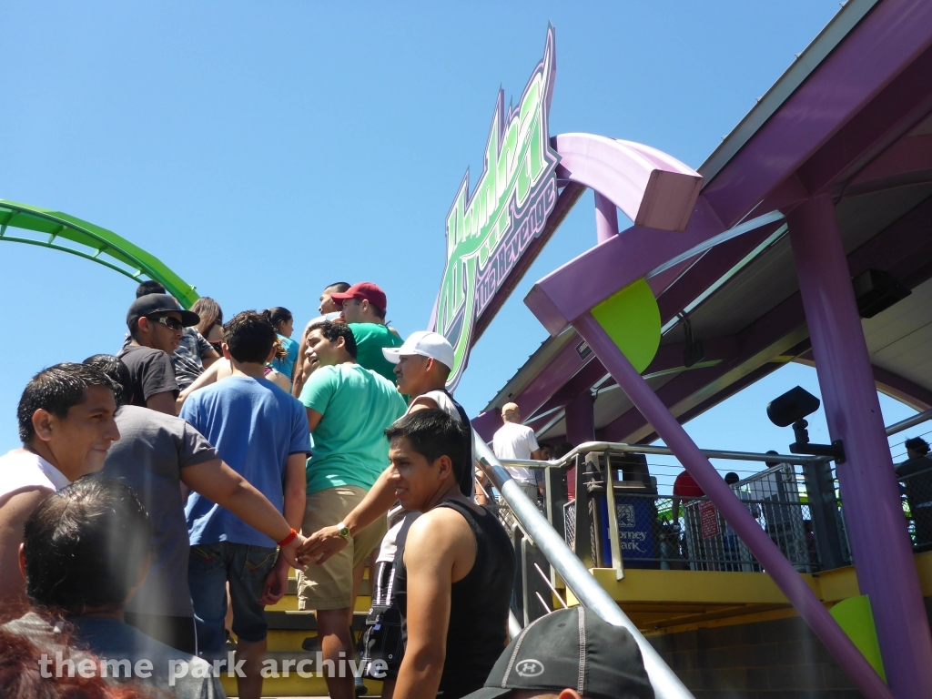 Hydra The Revenge at Dorney Park