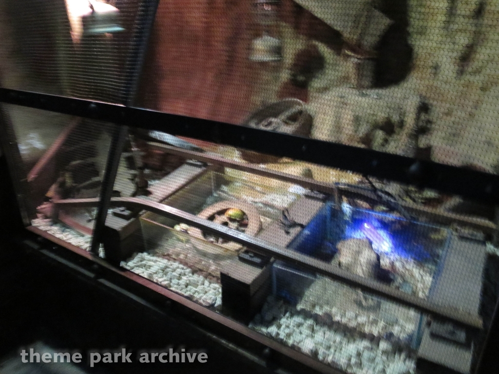 Scorpion Express at Chessington World of Adventures Resort