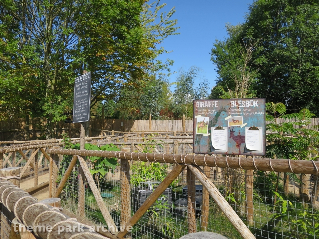 Zufari: Ride into Africa at Chessington World of Adventures Resort