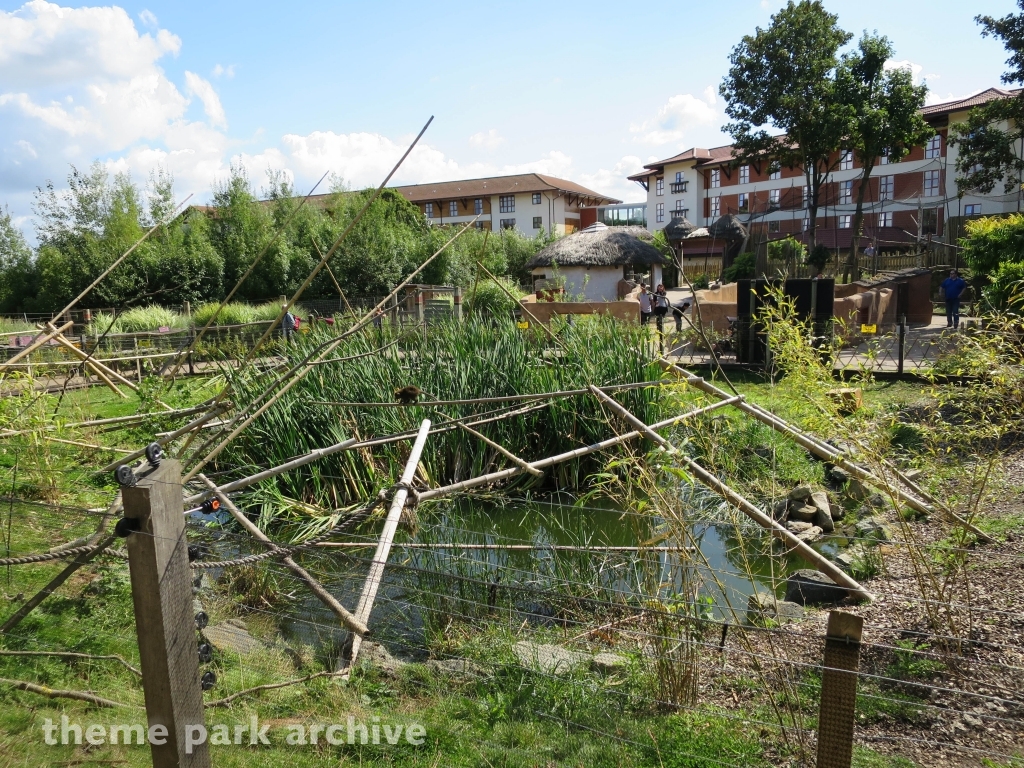 Zufari: Ride into Africa at Chessington World of Adventures Resort