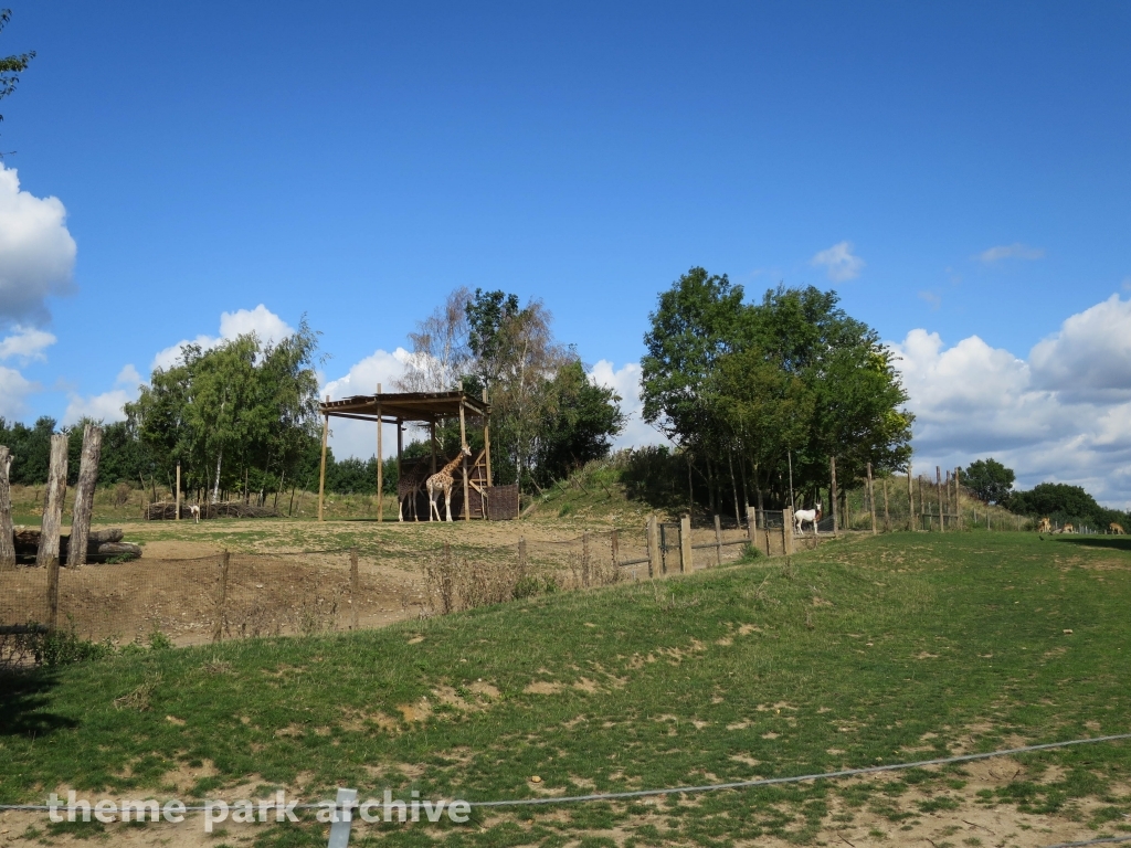 Zufari: Ride into Africa at Chessington World of Adventures Resort