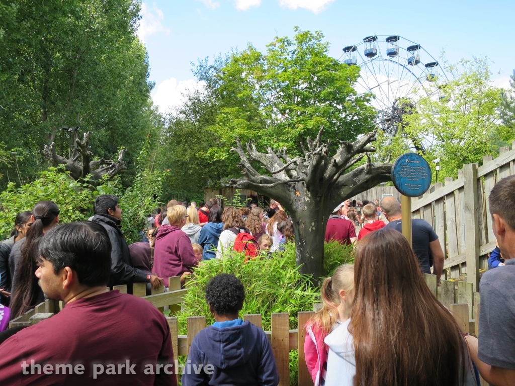 Dragon's Fury at Chessington World of Adventures Resort