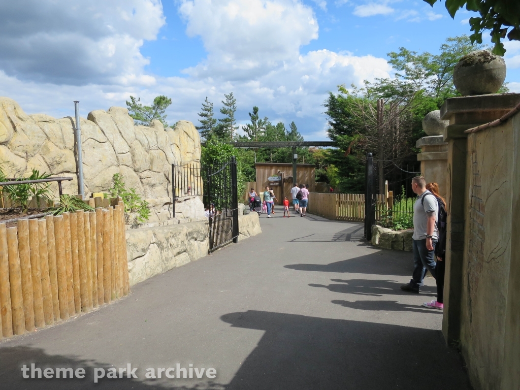 Pirate's Cove at Chessington World of Adventures Resort