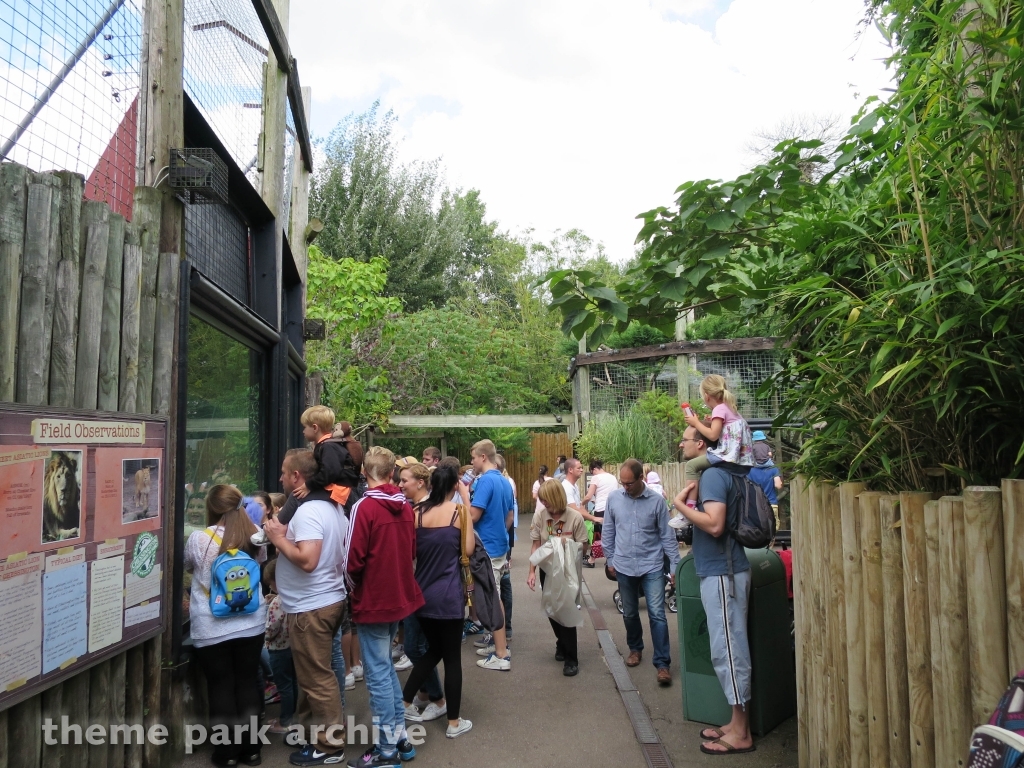 Chessington Zoo at Chessington World of Adventures Resort