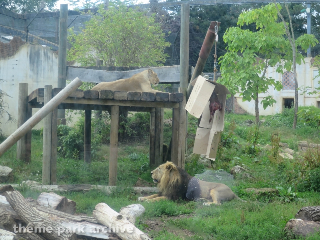 Chessington Zoo at Chessington World of Adventures Resort