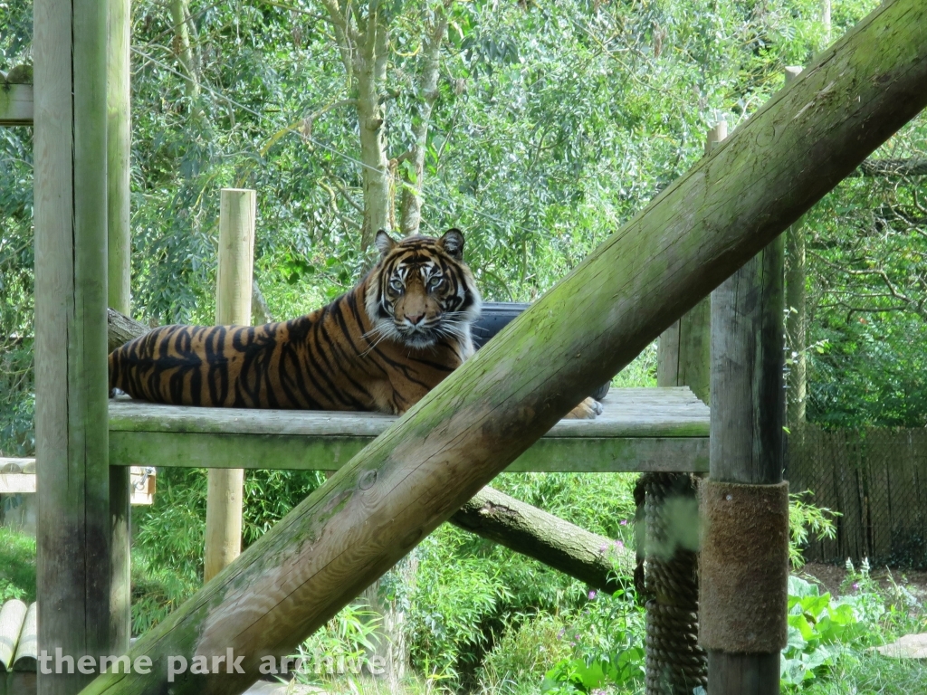 Chessington Zoo at Chessington World of Adventures Resort