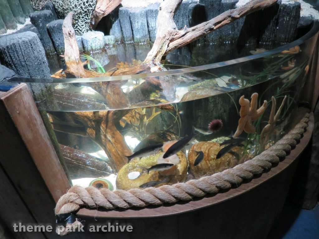 Sea Life at Chessington World of Adventures Resort