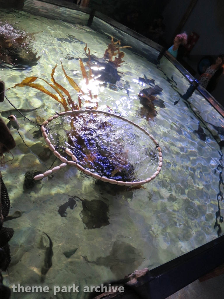 Sea Life at Chessington World of Adventures Resort