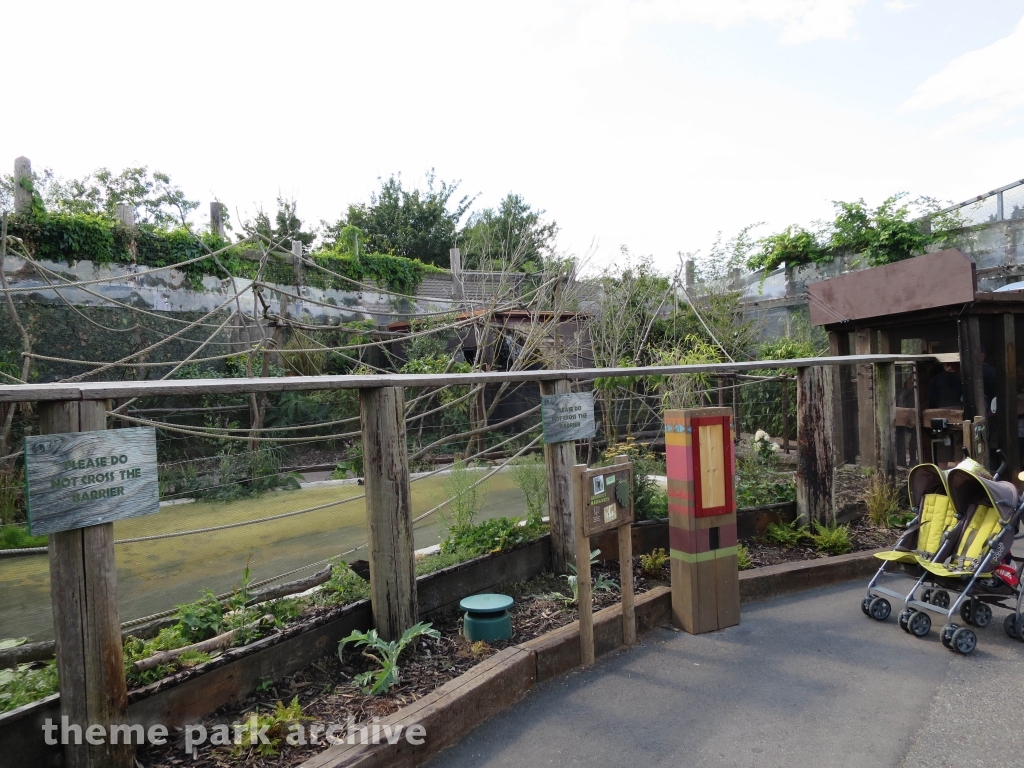 Amazu at Chessington World of Adventures Resort