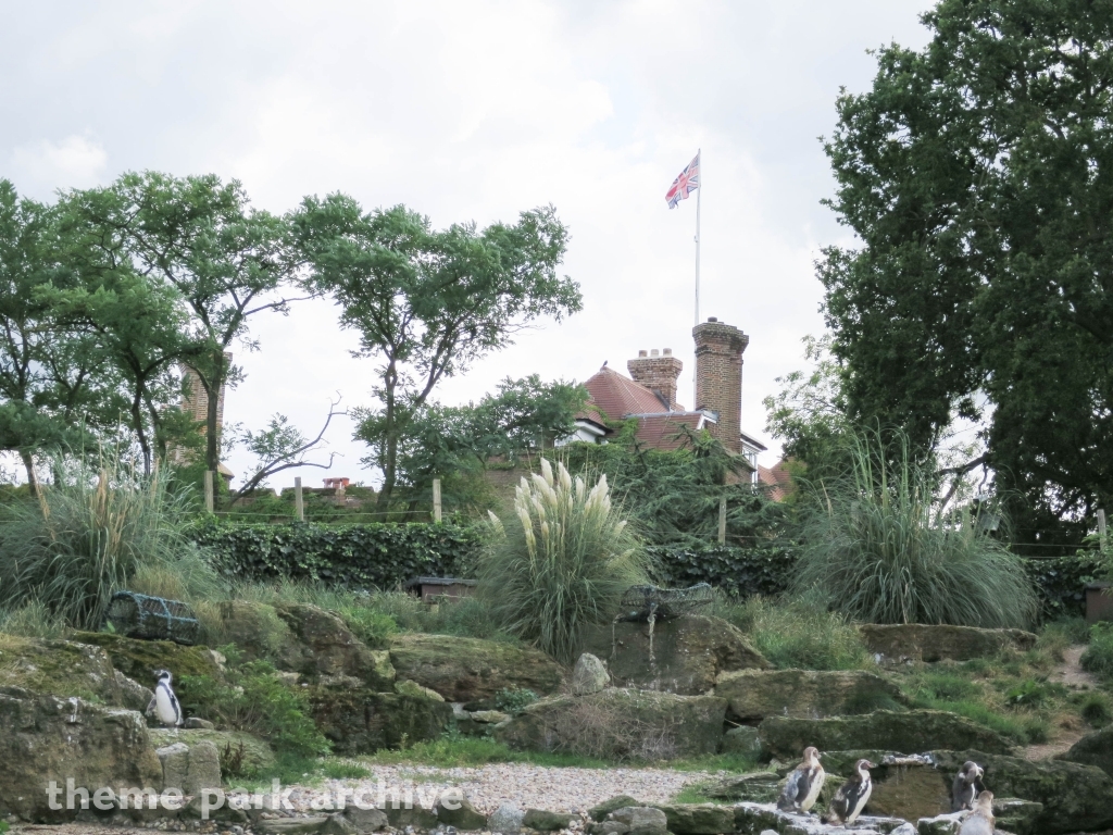 Penguin Cove at Chessington World of Adventures Resort