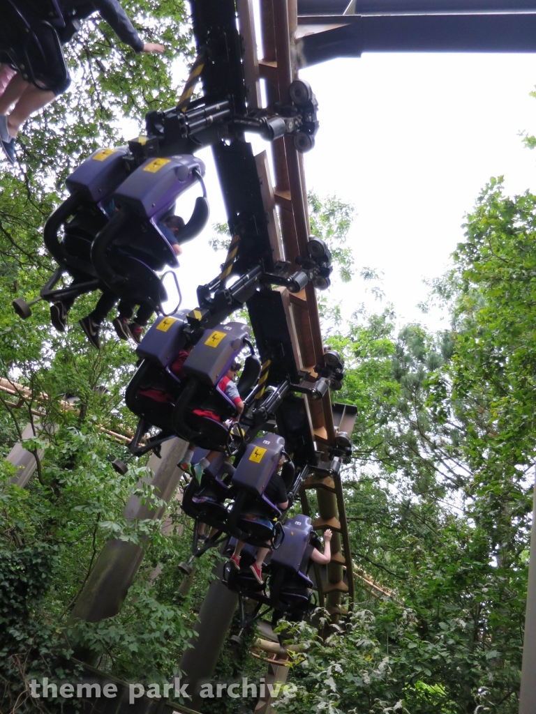 Vampire at Chessington World of Adventures Resort