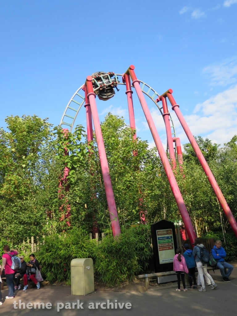 Dragon's Fury at Chessington World of Adventures Resort