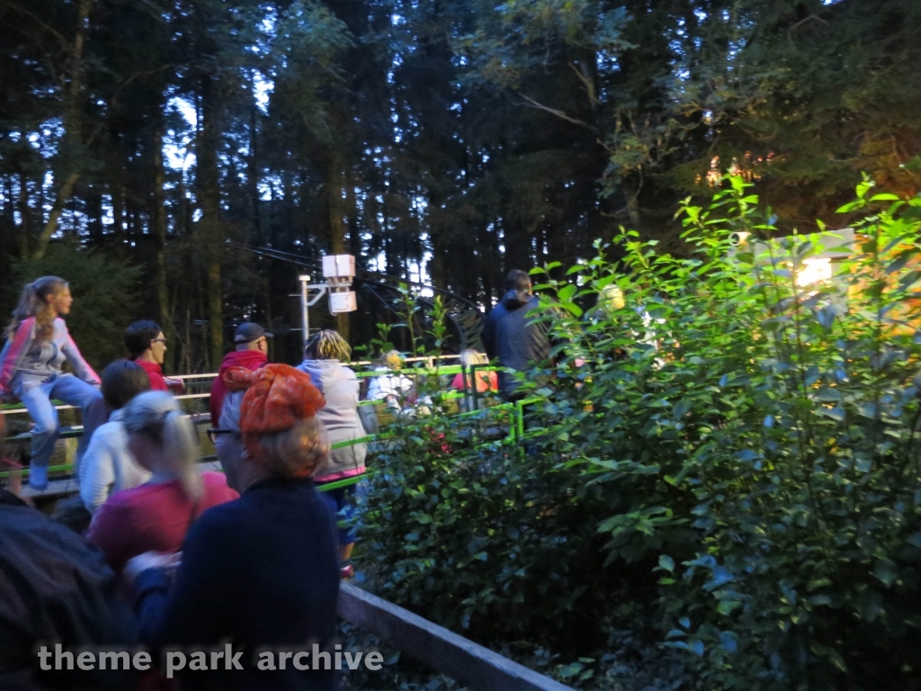Treetops Coaster at Oakwood Theme Park