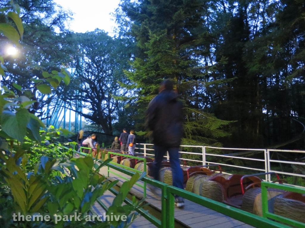 Treetops Coaster at Oakwood Theme Park