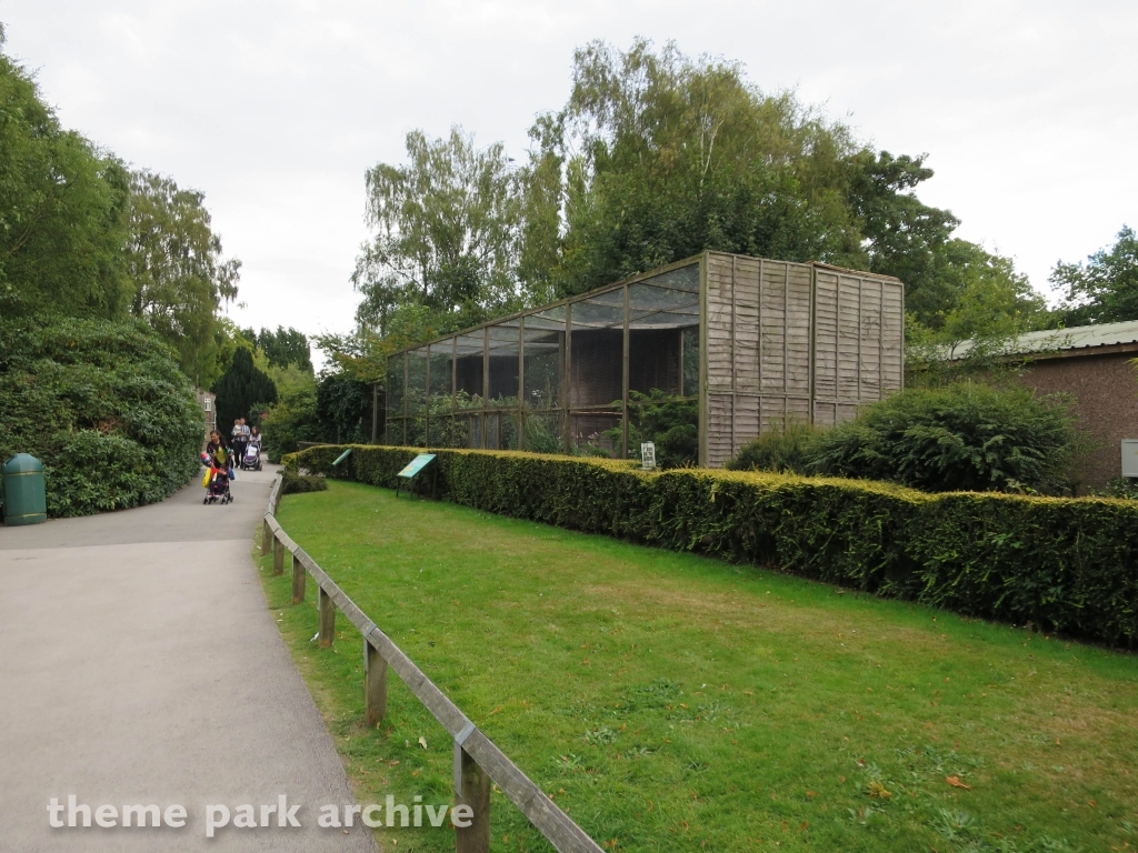 Zoo at Drayton Manor