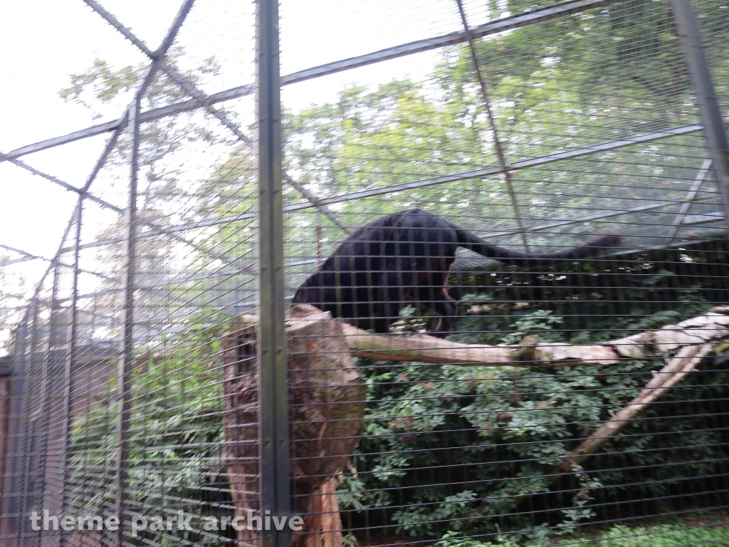 Zoo at Drayton Manor