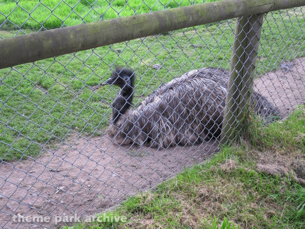 Zoo at Drayton Manor