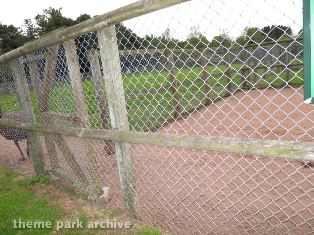 Zoo at Drayton Manor