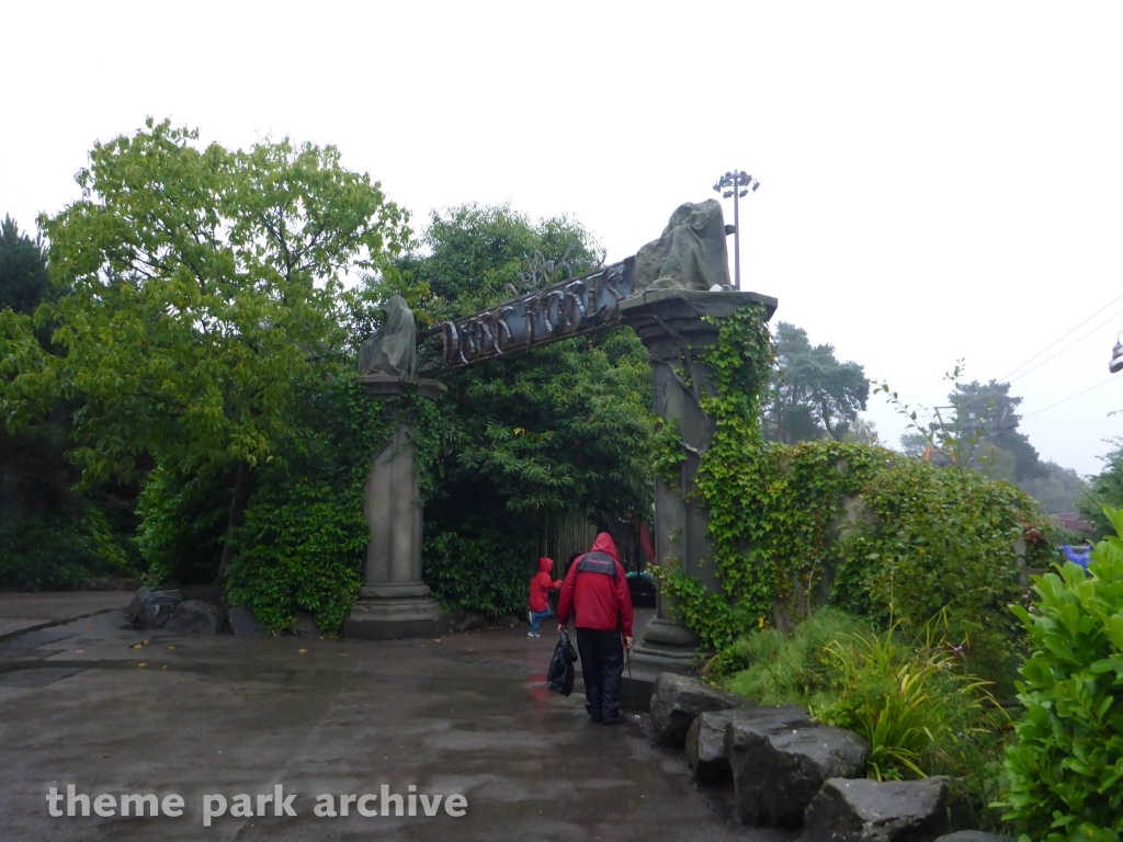 Dark Forest at Alton Towers