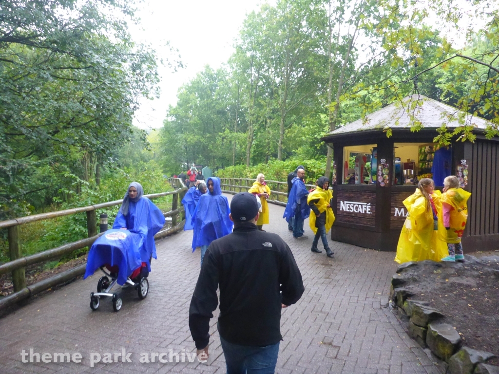 Gloomy Wood at Alton Towers