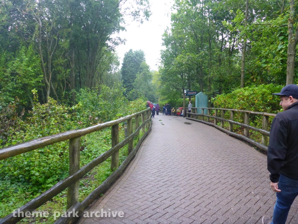 Gloomy Wood at Alton Towers