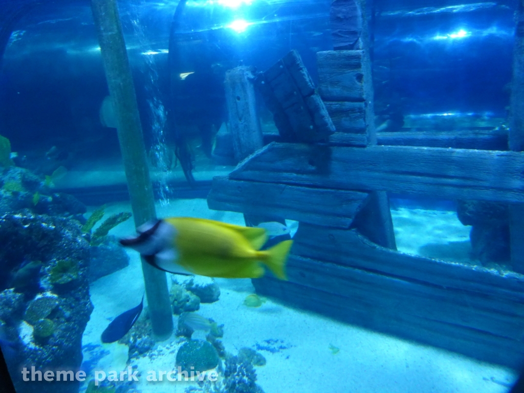 Sharkbait Reef by Sea Life at Alton Towers