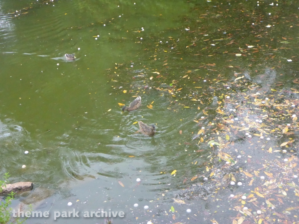 Adventure Land at Alton Towers