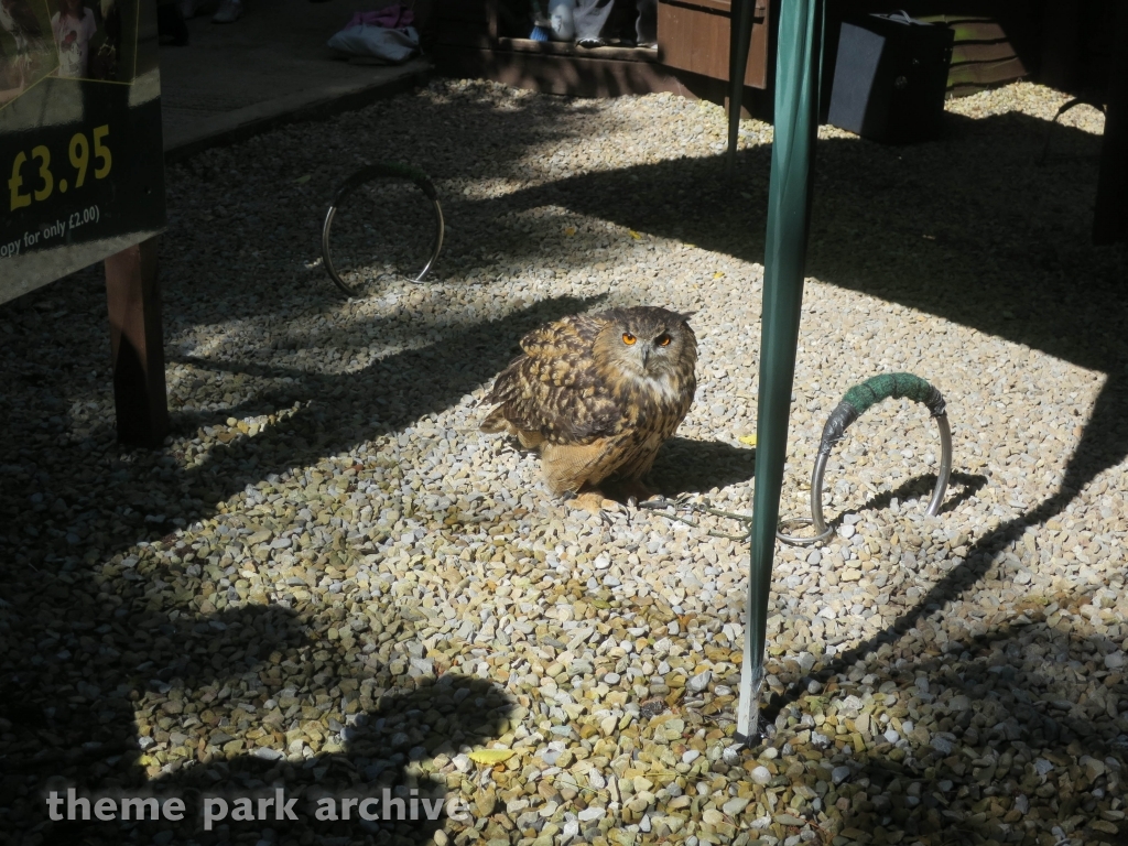 Eagle Creek Farm at Lightwater Valley