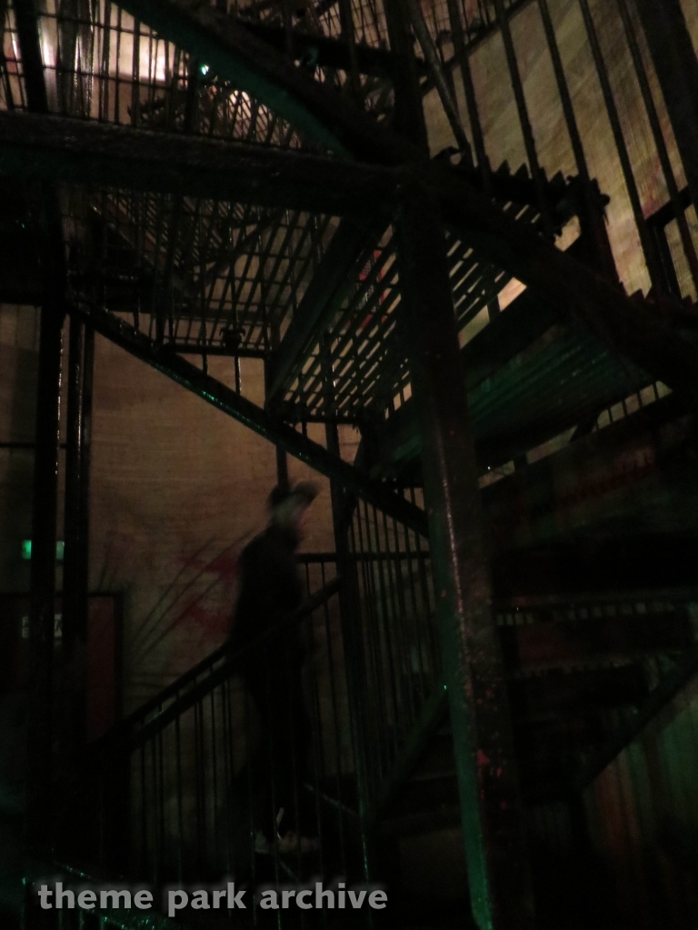 Raptor Attack at Lightwater Valley